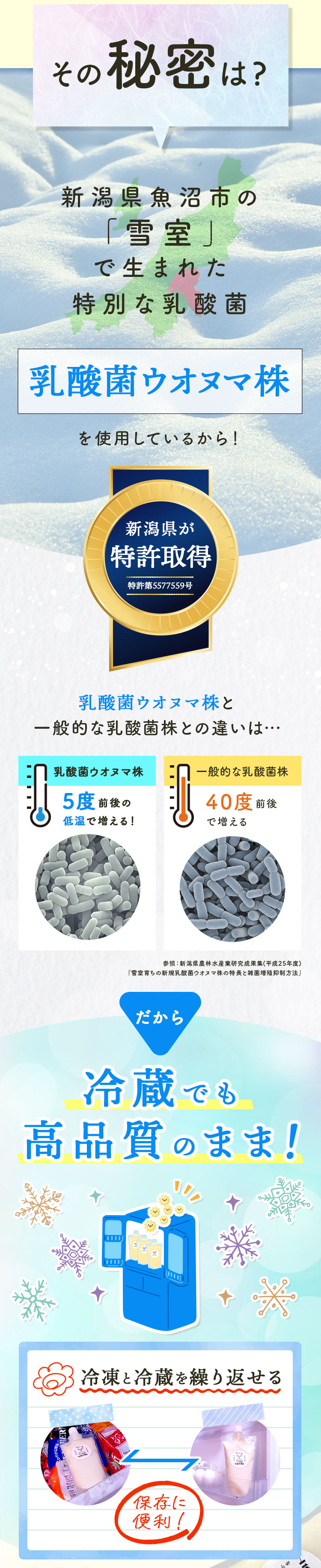 その秘密は？新潟県魚沼市の雪室で生まれた特別な乳酸菌 乳酸菌ウオヌマ株 新潟県が特許取得